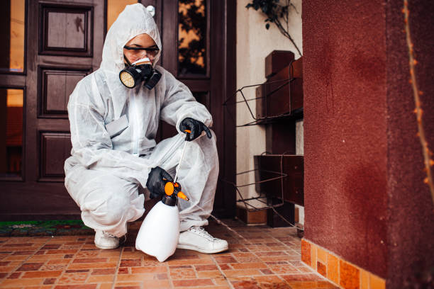 Reliable Cockroach Control contractor in Tappahannock, VA by Nex Pest Control